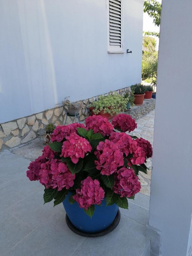 Apartman Antonija Pula Luaran gambar